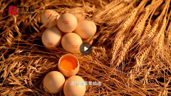 &#24320;&#20113;&#32593;&#39029;&#29256;